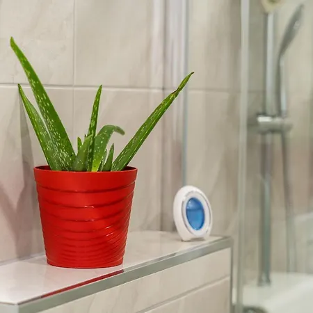 Apartmani Kralj Ragusa Esterno foto