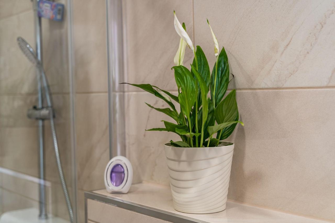 Apartamento Kralj *